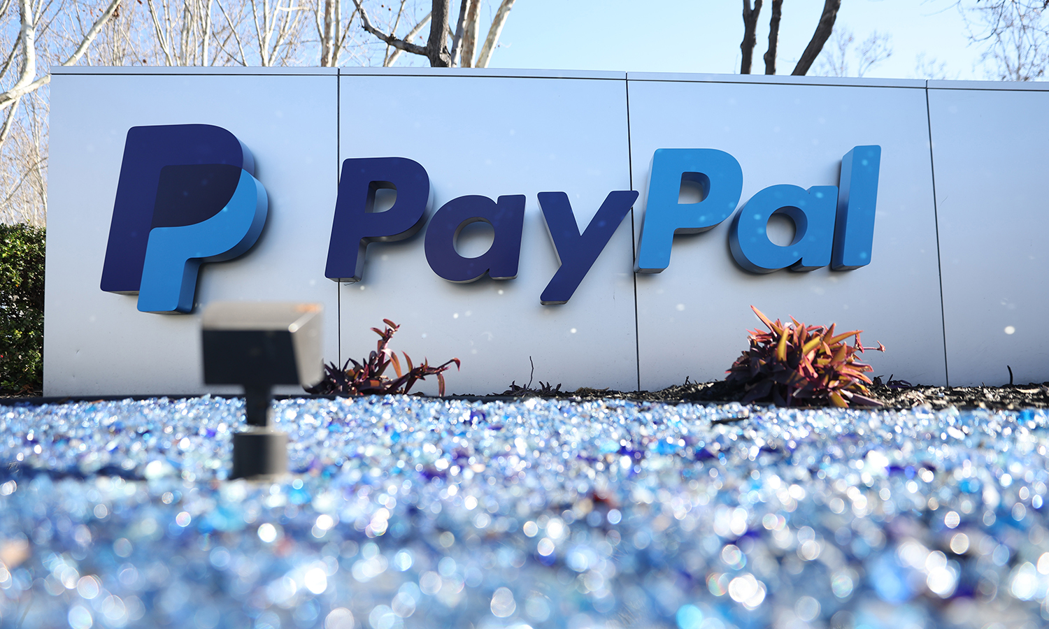 Resolve PayPal Negative Balance Without Bank: What You Can Do